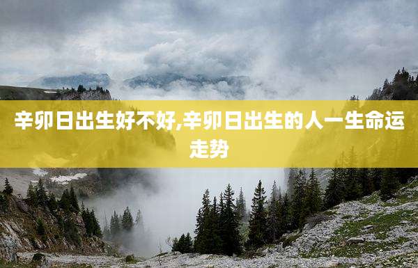 辛卯日出生好不好,辛卯日出生的人一生命运走势