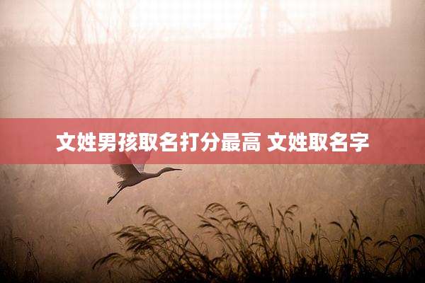 文姓男孩取名打分最高 文姓取名字