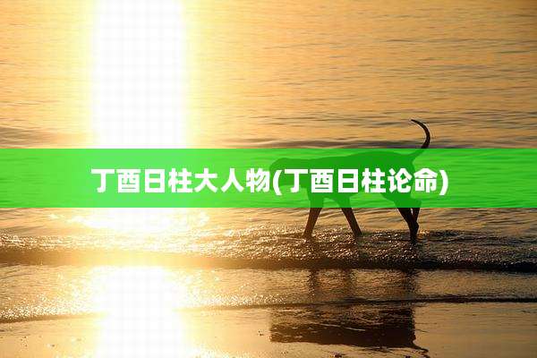 丁酉日柱大人物(丁酉日柱论命)