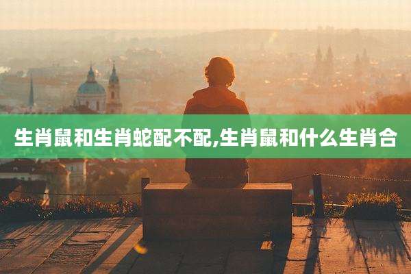 生肖鼠和生肖蛇配不配,生肖鼠和什么生肖合