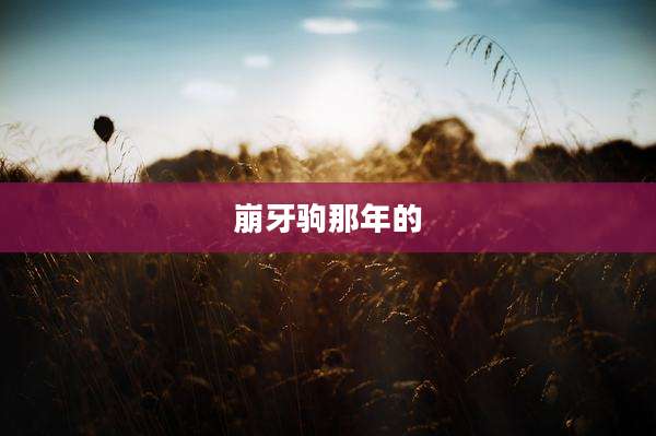 崩牙驹那年的