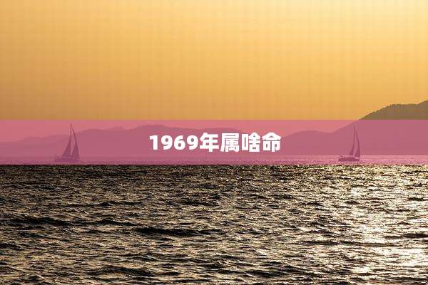 1969年属啥命