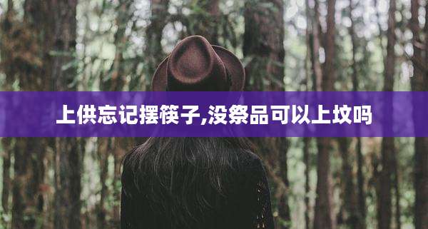 上供忘记摆筷子,没祭品可以上坟吗