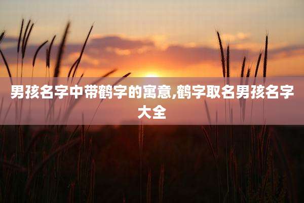 男孩名字中带鹤字的寓意,鹤字取名男孩名字大全