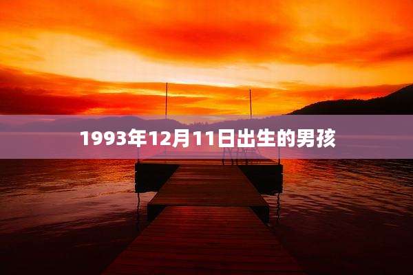 1993年12月11日出生的男孩