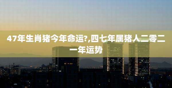 47年生肖猪今年命运?,四七年属猪人二零二一年运势