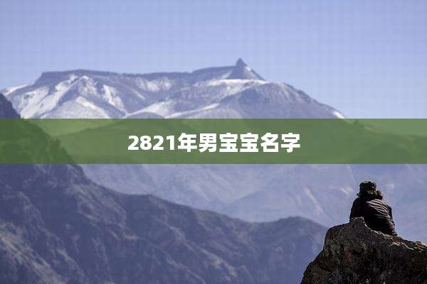 2821年男宝宝名字