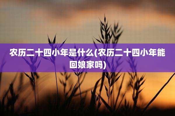 农历二十四小年是什么(农历二十四小年能回娘家吗)