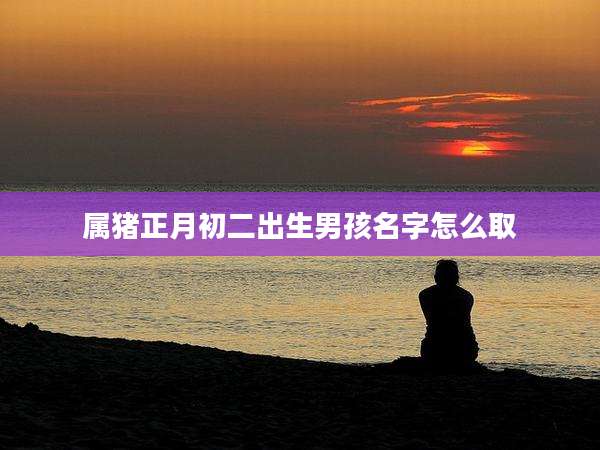 属猪正月初二出生男孩名字怎么取