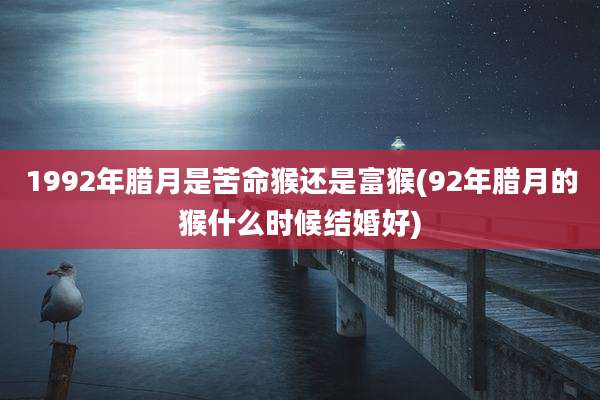 1992年腊月是苦命猴还是富猴(92年腊月的猴什么时候结婚好)