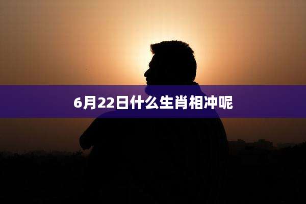 6月22日什么生肖相冲呢