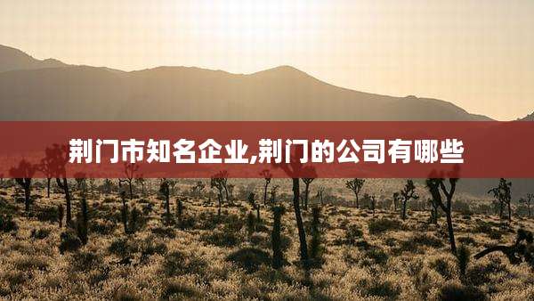 荆门市知名企业,荆门的公司有哪些