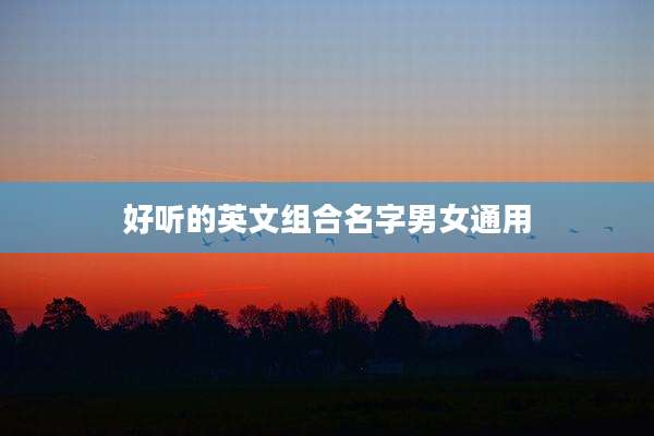 好听的英文组合名字男女通用