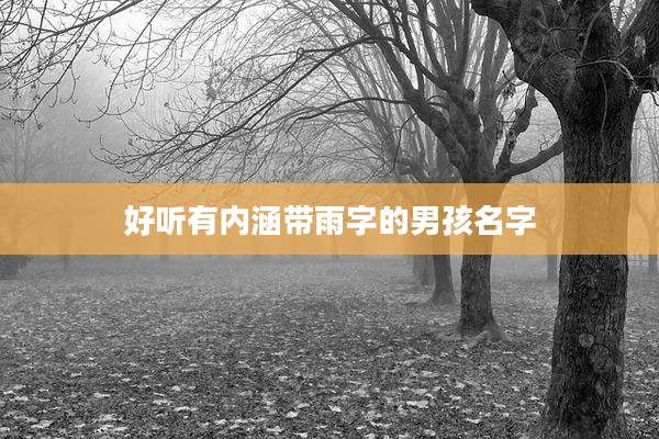 好听有内涵带雨字的男孩名字
