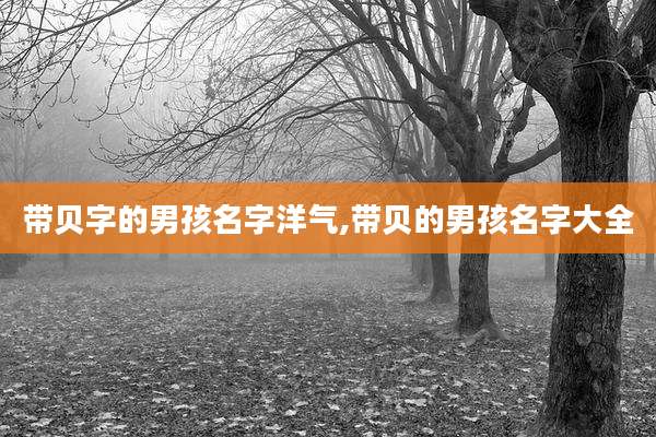 带贝字的男孩名字洋气,带贝的男孩名字大全