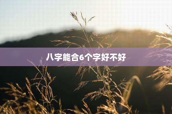 八字能合6个字好不好