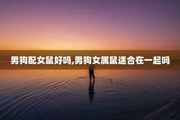 男狗配女鼠好吗,男狗女属鼠适合在一起吗