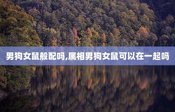 男狗女鼠般配吗,属相男狗女鼠可以在一起吗