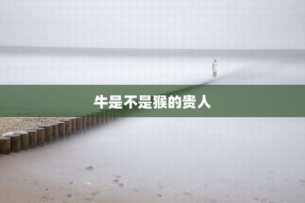 牛是不是猴的贵人