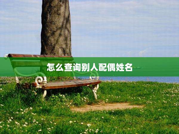 怎么查询别人配偶姓名