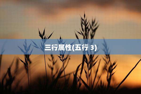 三行属性(五行 3)