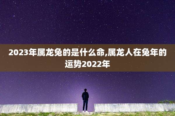 2023年属龙兔的是什么命,属龙人在兔年的运势2022年