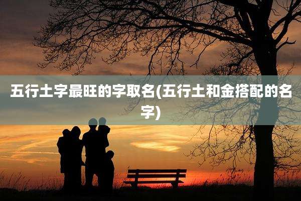 五行土字最旺的字取名(五行土和金搭配的名字)