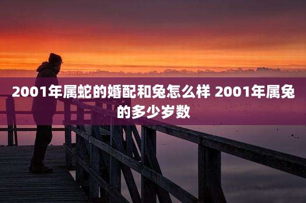 2001年属蛇的婚配和兔怎么样 2001年属兔的多少岁数