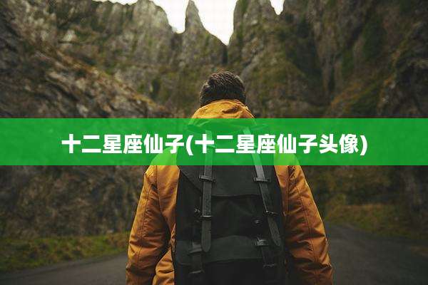 十二星座仙子(十二星座仙子头像)