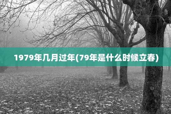 1979年几月过年(79年是什么时候立春)