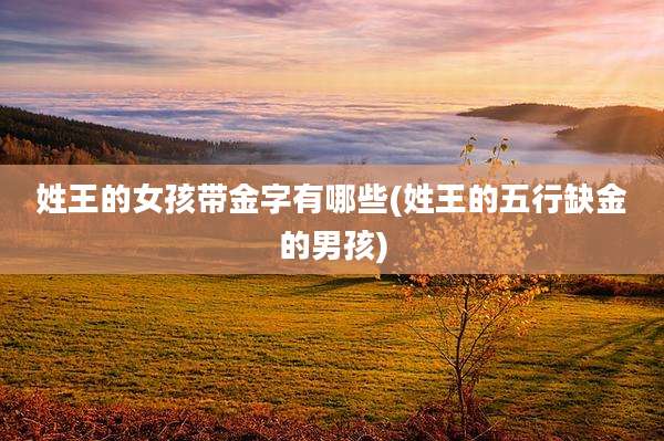 姓王的女孩带金字有哪些(姓王的五行缺金的男孩)