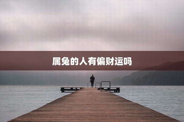 属兔的人有偏财运吗