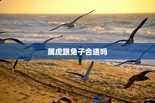 属虎跟兔子合适吗