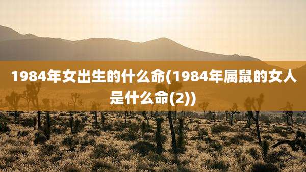 1984年女出生的什么命(1984年属鼠的女人是什么命(2))