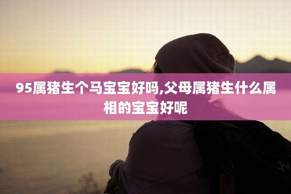 95属猪生个马宝宝好吗,父母属猪生什么属相的宝宝好呢