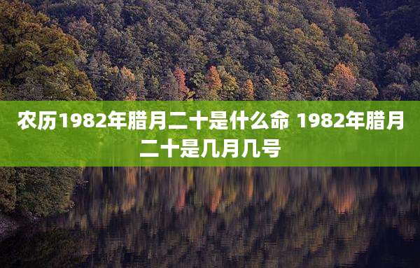 农历1982年腊月二十是什么命 1982年腊月二十是几月几号