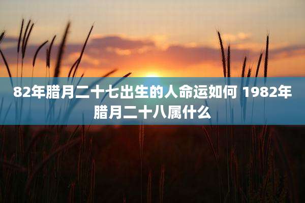 82年腊月二十七出生的人命运如何 1982年腊月二十八属什么