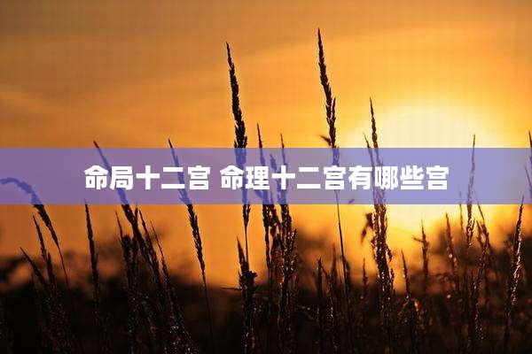 命局十二宫 命理十二宫有哪些宫