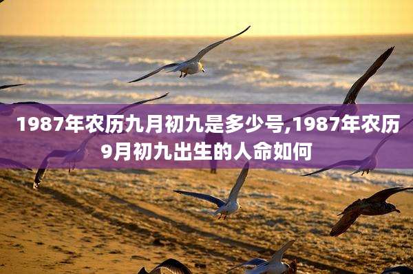 1987年农历九月初九是多少号,1987年农历9月初九出生的人命如何