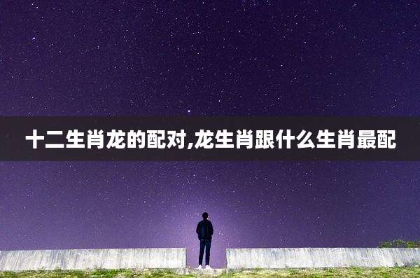 十二生肖龙的配对,龙生肖跟什么生肖最配