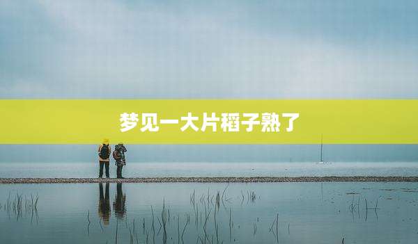 梦见一大片稻子熟了