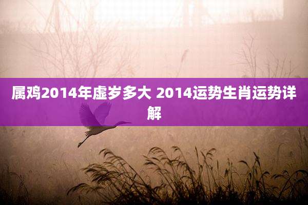 属鸡2014年虚岁多大 2014运势生肖运势详解