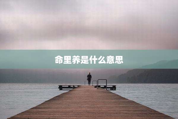 命里养是什么意思