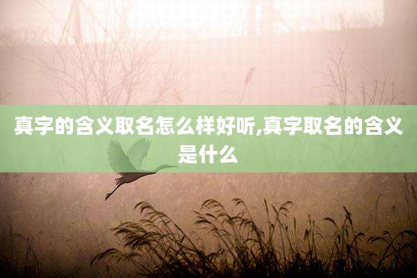真字的含义取名怎么样好听,真字取名的含义是什么