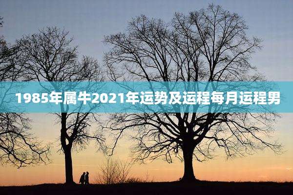1985年属牛2021年运势及运程每月运程男