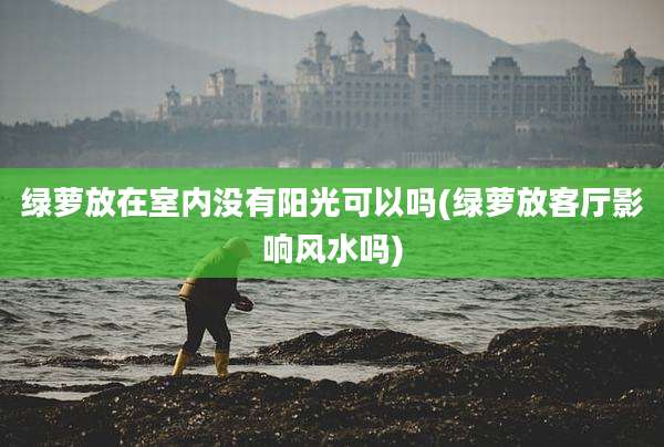 绿萝放在室内没有阳光可以吗(绿萝放客厅影响风水吗)