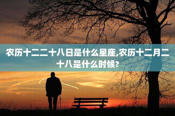 农历十二二十八日是什么星座,农历十二月二十八是什么时候?