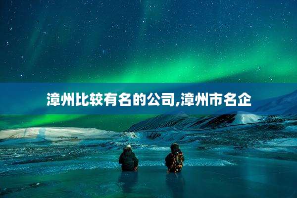 漳州比较有名的公司,漳州市名企