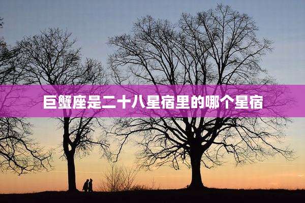 巨蟹座是二十八星宿里的哪个星宿