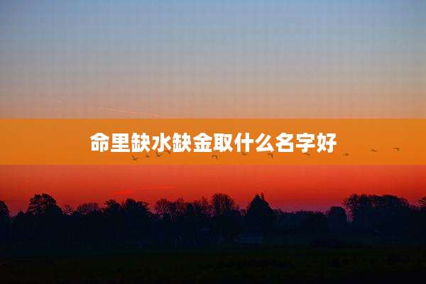 命里缺水缺金取什么名字好